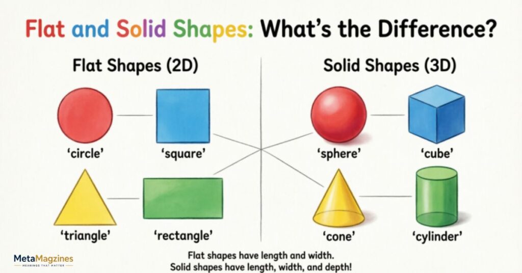 Flat and Solid Shapes: What's the Difference?