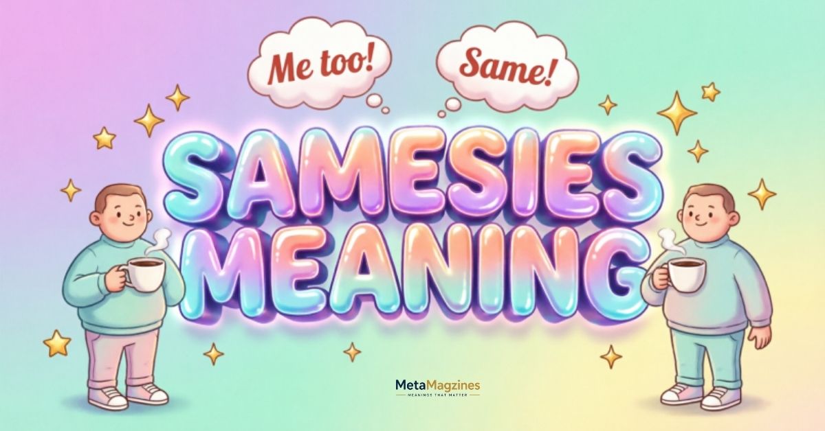 Samesies Meaning